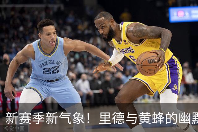 新赛季新气象！里德与黄蜂的幽默初遇